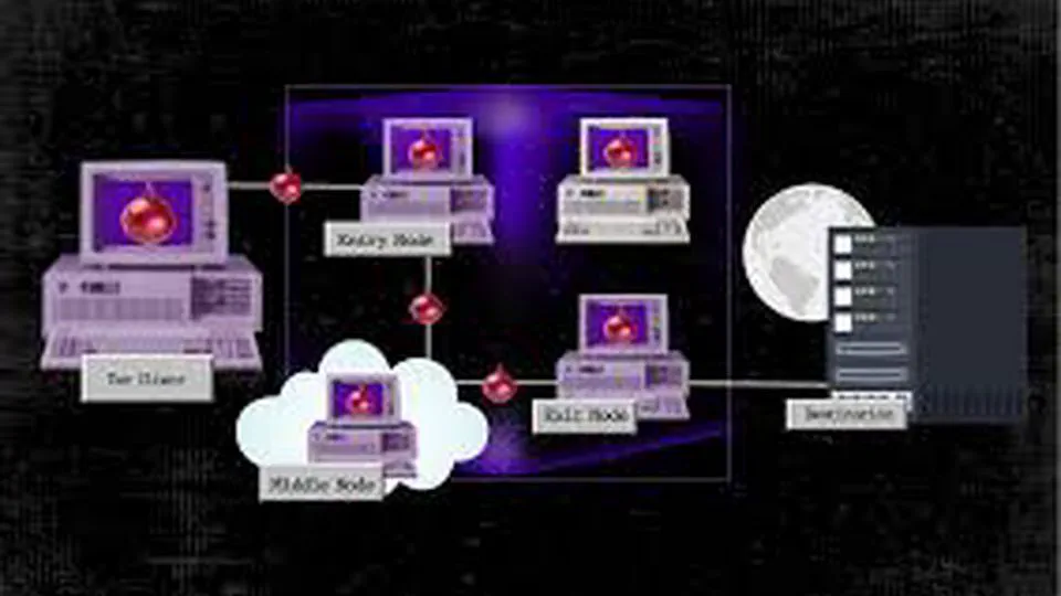 Private Tor Network